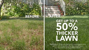 How to Get a Thicker Lawn Using Scotts® Turf Builder® Thick'R Lawn 3-In-1 Solution | Great Lakes Ace Hardware