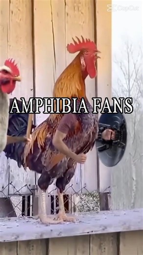 Amphibia fans assemble in the comments!!!! || Possibly a mega collab coming soon for Amphibia fans!