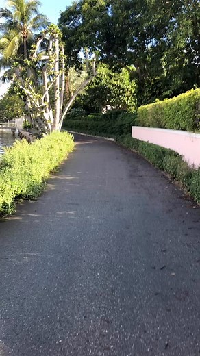 The Lake Trail was one of the earliest “roads” in Palm Beach, but never had cars. Folks would travel to their homes from the train station via rickshaw. Many houses still have a Lake Trail address even through their front doors face the other direction. My sole objective in running for Palm Beach Town Council is to actively listen to your concerns and work diligently to restore our Town to the peaceful, picturesque community with its historic architecture, safe streets, abundant beaches, and exc