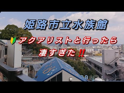 2022…姫路市立水族館100%本気の魅力に迫ります