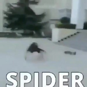 32K views · 1.3K reactions | h | ghost cuck | Facebook