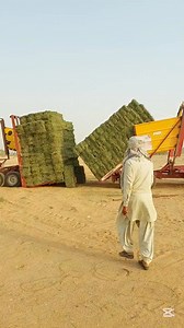 462K views · 1.9K reactions | Stocking grass blocks. #reels #viral #short #technology #Amazing | Agri Culture Sa | Facebook