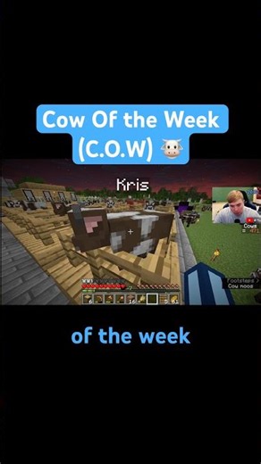Cow Of the Week (C.O.W) 🐮