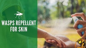 Wasp Repellent For Skin: Keep Wasps Away When Outside