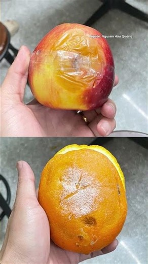 The groom had to apologize to the bride's family because the fruit trays offered as gifts were da...