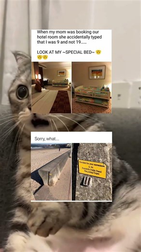 #funny #memes