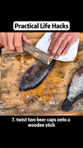 Daily Life Hacks | Moose Boy