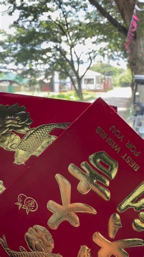 Amapo ✨✨ pang mamayang hapon bz pa #cosilvareye #highlights2025 #ampao2025 | Co Silva Reyes