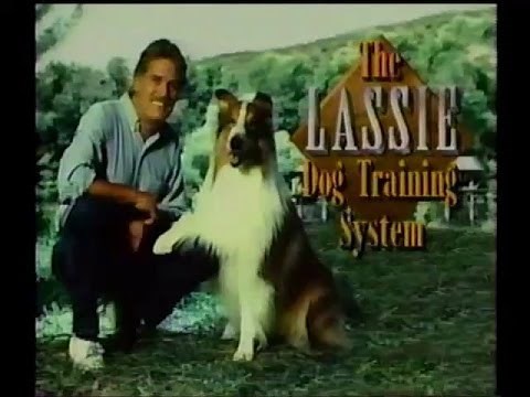 Lassie Dog Training System