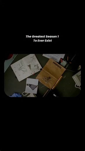 MOVIES NOW on Instagram: "True Detective Season 1 is often called the greatest single season of television ever made because it delivers a perfect storm of atmosphere, writing, acting, and philosophical depth that few shows have ever matched. #truedetective #mathewmcconaughey #woodyharrelson"