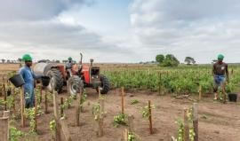 Government works to boost the agricultural sector