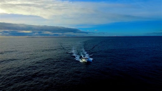 Prince Edward Island’s giant tuna challenge returns again (2 of 2)