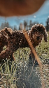 283 reactions · 14 comments | Who’s EXCITED?! ‍♀️‍♀️‍♀️ This...