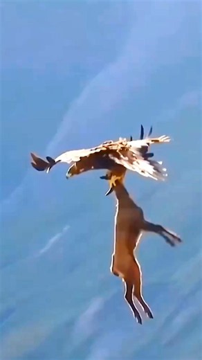 He Aimed His Arrow… Then THIS Happened! 😱🦅 #shorts