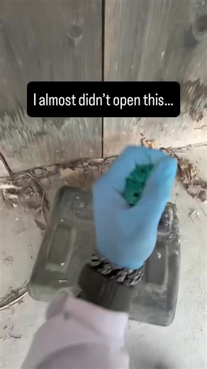I almost didn’t open this…. Rodent bait stations are one of the most common tools used in pest control. They help technicians track rodent movement and control populations around structures.