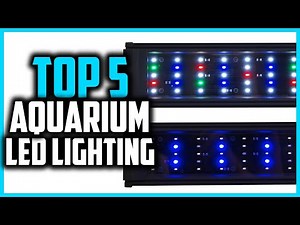 ✅ 5 Best Aquarium LED Lighting in 2024