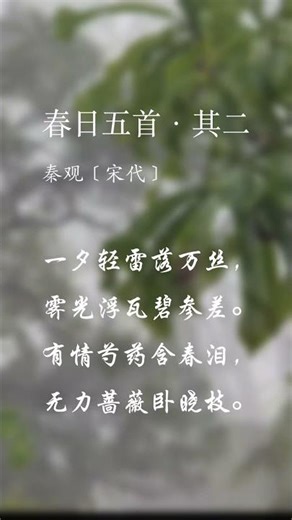 【春日五首·其二(秦观)】春光明媚，词里轻诉心绪｜Spring Reflections – Qin Guan’s “Five Spring Poems II”
