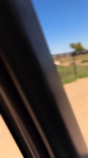 Get ready for a sparkling clean home! As the owner of Mist, I'm excited to offer top-notch cleaning services for your home's inside and out. Reach out anytime at 480-352-9838 and enjoy a complimentary $20 gift card to your favorite restaurant when you book with us‼️酪 | mistcleaning.co | Facebook