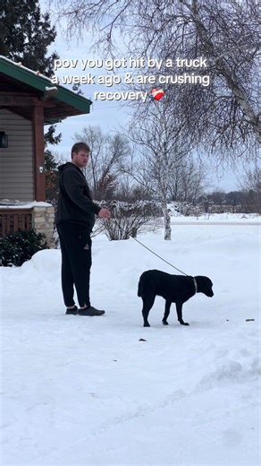 Dixie's Journey: A Lab Puppy’s Inspiring Recovery