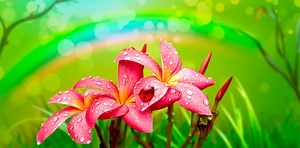 ClearIt 13 - Play Thousands of Games - GameHouse