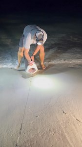 💥 Tagged and released 💥 #fishing #PCB #fypシ #allamericansharkfishing #florida | All American Shark Fishing