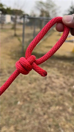 A Horse 🐴 Neck Rope Tie !