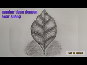 contoh gambar daun dengan teknik arsir || arsiran silang || tutorial gambar arsir
