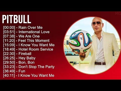Pitbull 2025 MIX The Very Best