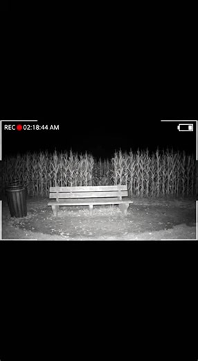 Skinwalker Caught on Camera: Unseen Phenomena Explained