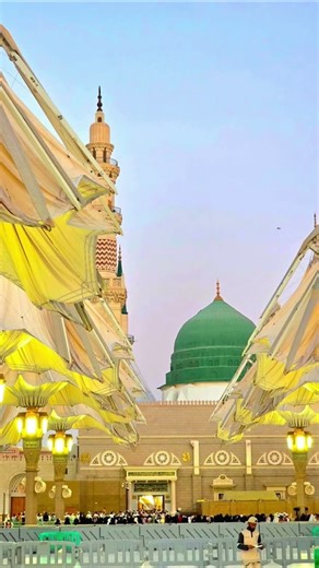 best naats#2025 best naats#trending naats#best Islamic shorts#best Islamic status#love Madina#naats