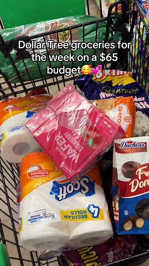 Dollar Tree Weekly Groceries on a $65 Budget