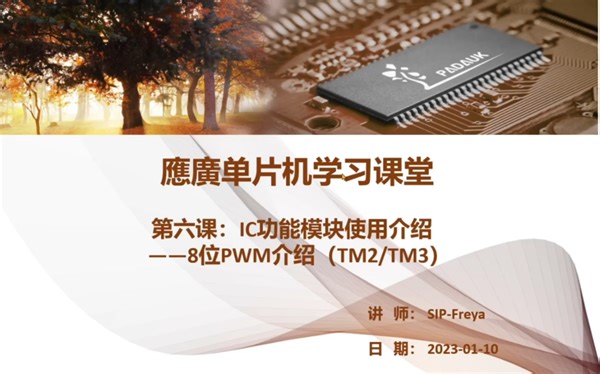 8位PWM介绍(TM2/TM3)