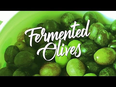 Fermenting Fresh Olives - Delicious olives, with probiotic benefits. An easy, but slow curing method