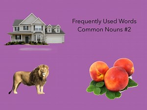 Common Nouns #2
