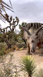 10K views · 175 reactions | Join us this Sunday and Monday for Roar...