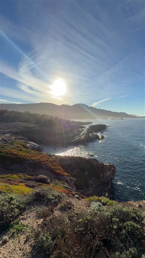#sun #travel #sky #pointlobos #fyp