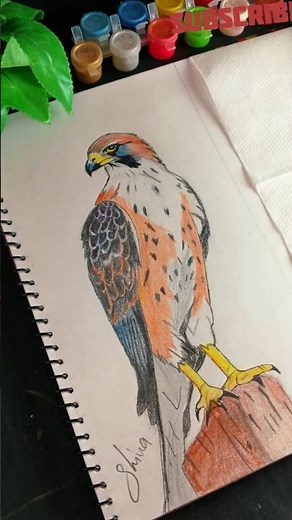 Just a Pencil and Patience ✏️🔥 #shorts #trending