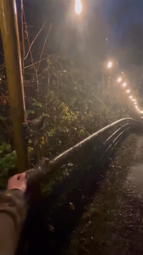 When your bell training is really paying off 🔔⛈️😁 | Hollytree Track System