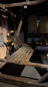 Looking for a fun and thrilling adventure? 🎢 The Medieval Torture Museum in Chicago offers: ⚔️ Interactive exhibits, 👻 A free ghost-hunting app, 🎧 An audio guide. Located in the heart of downtown Chicago, this unique experience will transport you into the dark past. Buy your tickets online today and get 20% off! 🎟️ | Medieval Torture Museum