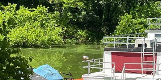 Environmental leaders warn of harmful effects of algal bloom in Ky. lake