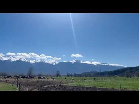Peaceful Mountain ASMR | Wind Sounds & Distant Rooster Calls