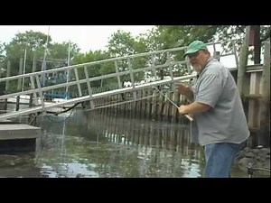 Delaware River Bass Fishing an Professional Anglers Insight on how to search for bass