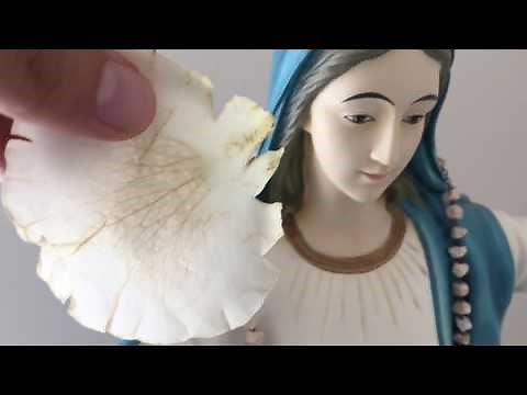 Brother Carmelo Cortez 2019 Healing Service and Miraculous Rose Petal Image