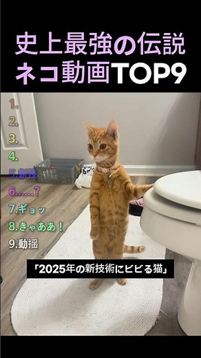 Top 9 Most Legendary Cat Videos of All Time