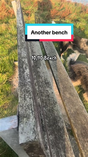 Perfect Bench Experience