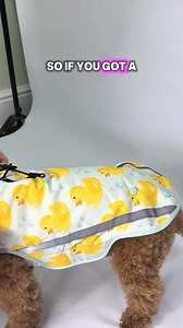 34K views · 877 reactions | Launching FRIDAY 17/10 16:00 Just a...