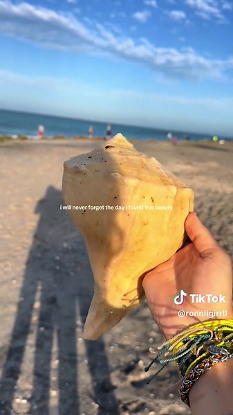 Discovering Unique Shells at Venice Beach
