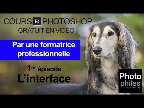 #1 Complete and free PHOTOSHOP course by a professional trainer: The interface