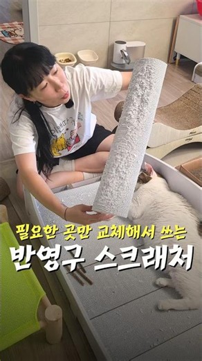 The semi-permanent scratcher you'll never need to throw away after buying once
