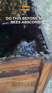 2.2K views · 15 reactions | It's swarming season. An empty hive is every beekeeper’s nightmare, do this step before the bees leave! #swarmseason #bees #swarm #beekeeper #beekeeping | Bee WARE | Facebook